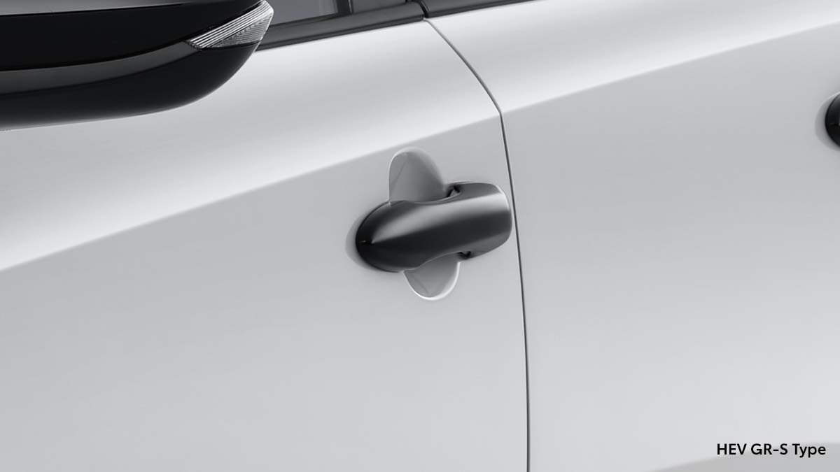 Black Door Outside Handle