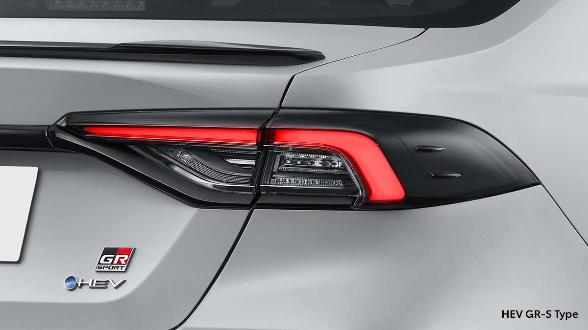 Smoked Rear Combination Lamp