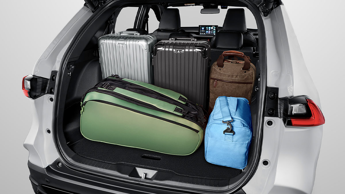 Cozy Spacious Luggage